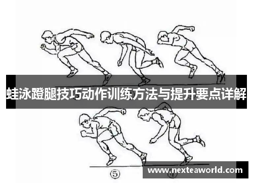 蛙泳蹬腿技巧动作训练方法与提升要点详解